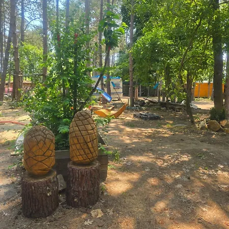Camping ла пуеста де соль Burgas City